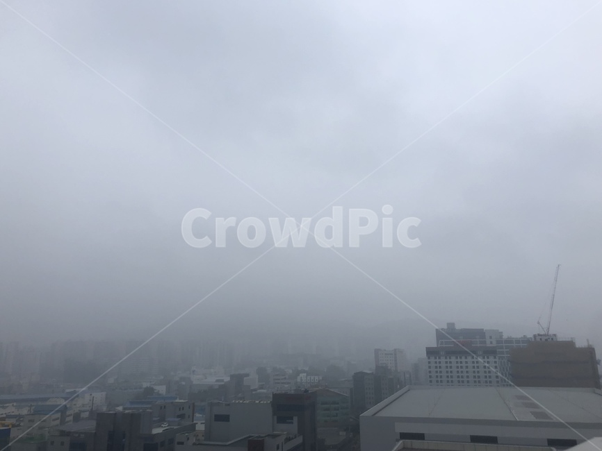 안개,안개낀도시,수증기,구름,하늘