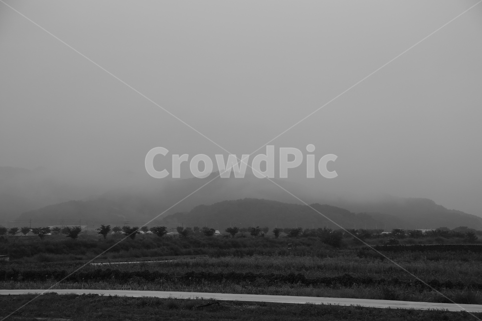 mist,안개,강,river,nature,자연,풍경,nature,landscape,흑백,모노톤,monochrome,black and white