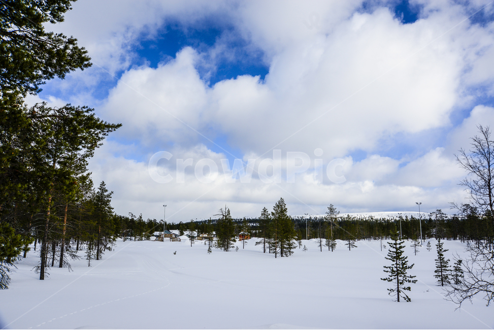 핀란드,사리셀카,이나리,라플란드,겨울,침엽수림,북극권,북극,계절,winter,season,자연,풍경,해외,외국,외국자연풍경,nature,landscape,world,notrhpole,arctic,finland,foreign,tree,forest,겨울숲,겨울,계절,winter,season,자연,풍경,nature,landscape,해외,외국,세계,foreign,oversea,world,세계자연풍경,해외자연풍경,외국자연풍경,world nature landscape,land,땅,outdoors,옥외,water,물,shoreline,해안선,sea,바다,ocean,대양,나무,plant,식물