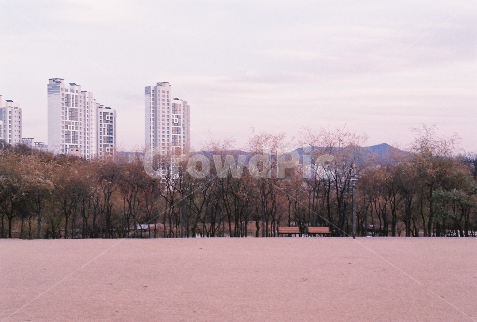 풍경,서울꿈의숲,꿈의숲,겨울숲,겨울,필름사진,잔디밭,겨울,계절,winter,season,도시,풍경,city,landscape,한국도시풍경,한국도시경관,korea cityscape,감성,sensible,feeling,high rise,고층 건물,building,건물,town,urban,어반,시티