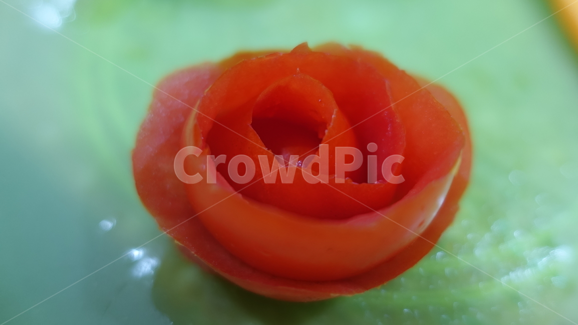토마토,foodcarving,식품조각,조각,tomato,꽃,장미