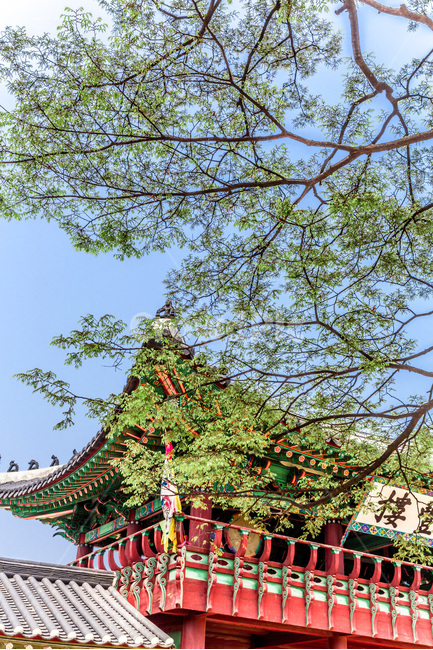 문화유산,전통,관광지,유적지,선,신풍루,화성행궁,고궁,문화재,한국전통,한국문화,korean traditional,korean culture,건축물,건물외관,exterior,building,structure,architecture,construction