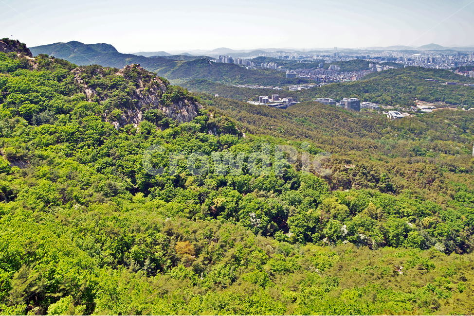 관악산,봉우리,금천구,관악구,사당동,신록,숲,자연,풍경,nature,landscape,outdoors,옥외,hill,언덕