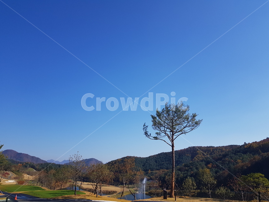 자연,화창함,나무,산,들판,자연,풍경,nature,landscape,outdoors,옥외