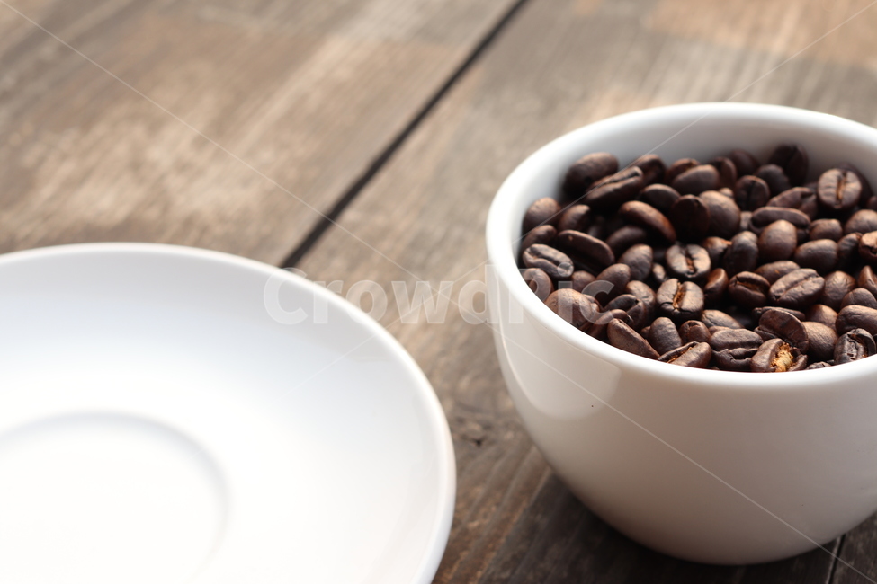 cup,커피컵,원두,커피,plant,플레이팅,커피,카페,coffee,cafe