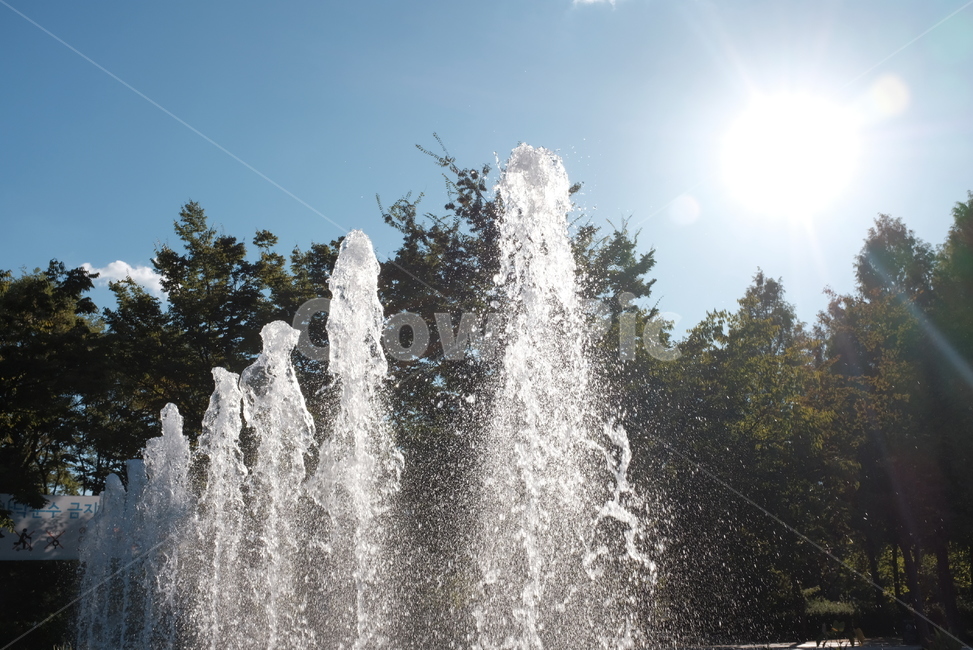 분수,물,햇빛,물방울,나무,여름,여름,계절,summer,season,자연,풍경,nature,landscape,water,fountain
