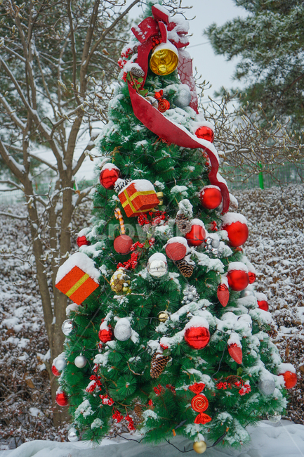 sentiment,drops,snow,tree,winter,season,white snow,christmas,holiday,anniversary