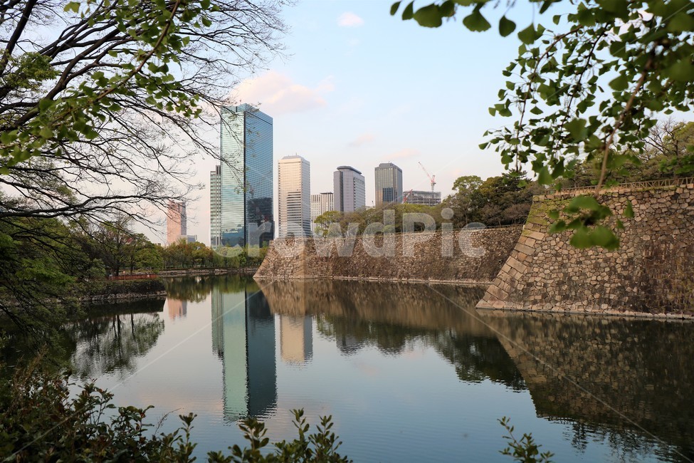 반사,풍경,배경,감성사진,일본