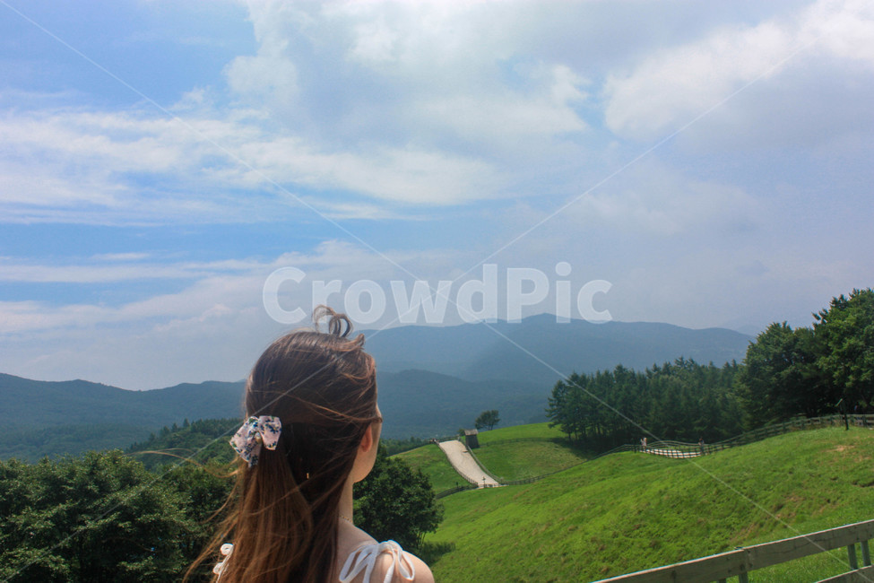목장,강릉,사람,뒷모습,산,정상,여자,하늘,구름,시원함,바람,길,산책,풍경,자연,사람,인물,인간,human,person,여성,여자,woman,female,lady,여행,휴가,traveling,vacation,trip