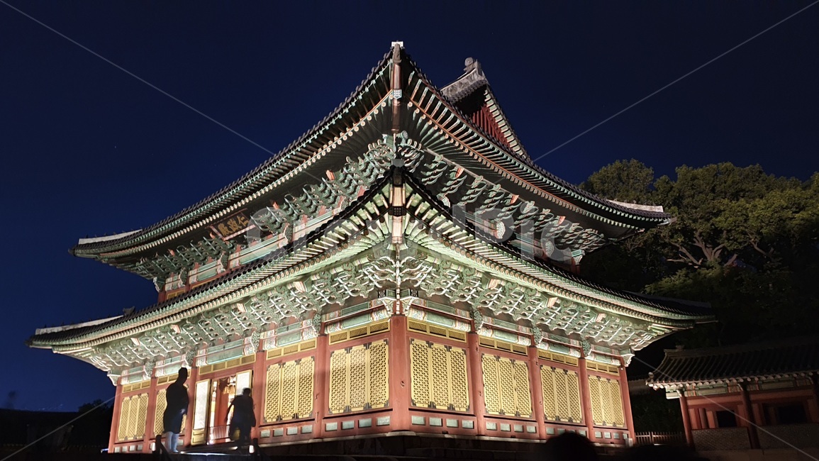 창덕궁,야간기행,달빛기행,야간,궁,밤,야경,밤,풍경,nightscape,night,landscape,랜드마크,landmark,tourist attraction,한국랜드마크,한국관광지,한국명소,korea landmark,korea tourist attraction