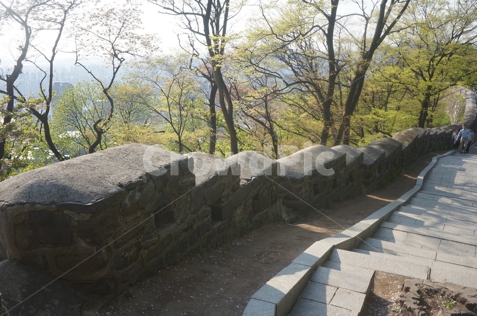 판석,human,flagstone,남산,남산타워