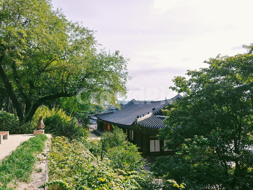 나무,풍경,tree,scenery,전통,traditional,한국전통,한국문화,korean traditional,korean culture,건축물,건물외관,exterior,building,structure,architecture,construction