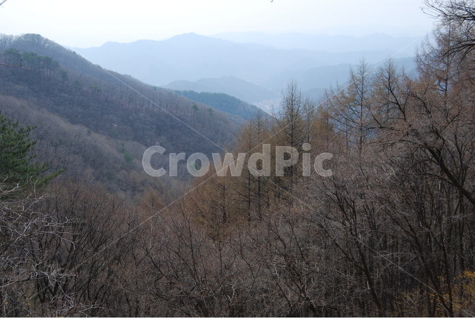 가리산,등산로,휴양림,명산,자연,자연,풍경,nature,landscape,한국자연풍경,한국자연경관,korea nature landscape,outdoors,옥외,plant,식물,tree,나무