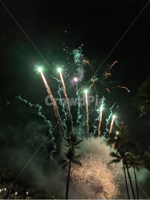 fireworks,palmtree,야자수,nightview,감성,야경,폭죽놀이,불꽃,축제,행사,밤하늘,show,hawaii,hilltonhawaiianvillage,waikiki,와이키키,하와이,자연,nature,해외