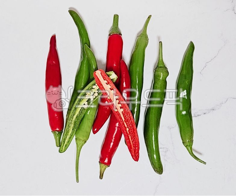 고추,채소,식재료,풋고추,청양고추,음식,food,홍고추