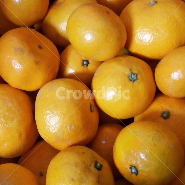 겨울,귤,노란색,농사,상큼,음식,식재료,요리,food,cook,meal,dishes,food reserves,과일,열매,fruit