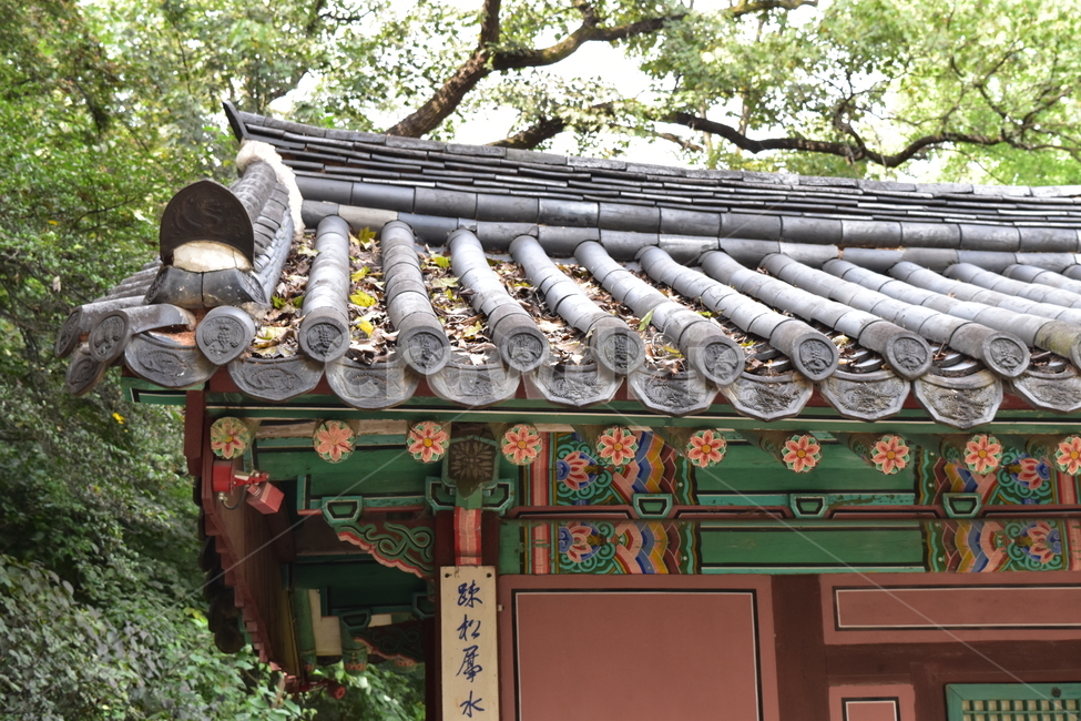 궁궐,비원,창덕궁비원,전통건물,세계문화유산,기와,전통,역사,한옥,한국전통,한국문화,korean traditional,korean culture