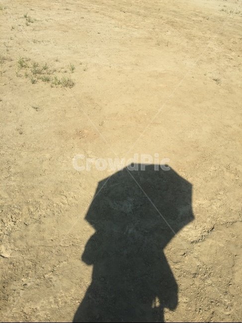 해변,그림자,모래,실루엣,사람