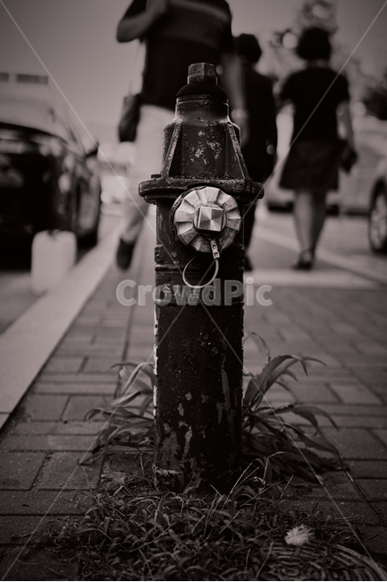 추상,흑백,조형물,빈티지,vintage,person,사람,human,인간,감성,city,building,도시,도심,건물,건축,흑백,모노톤,monochrome,black and white,사물,물건,오브젝트,thing,object,matter
