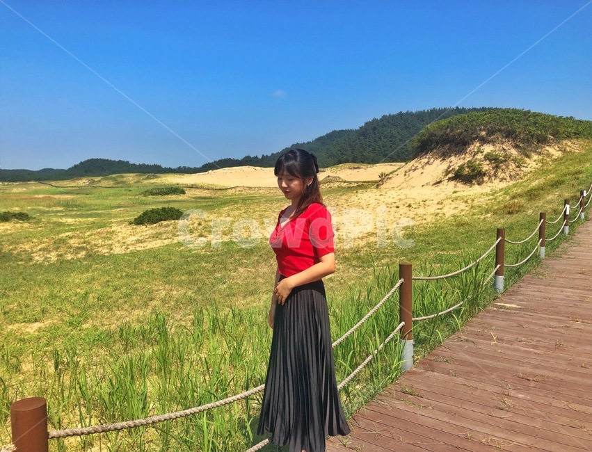 수목원,자연,나무,푸른하늘,여자전신,nature,arboretum,sky,womenstelegraph,scenery,사람,인물,인간,human,person,여성,여자,woman,female,lady