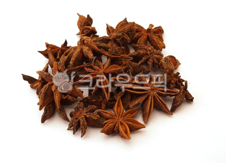 말린,건조,팔각향,팔각향차,회향,팔각,스타아니스,말린팔각향,건조된팔각향,향신료