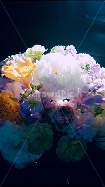 리시안셔스,흰꽃,꽃바구니,봄꽃,알록달록,빛,꽃다발,식물,자연,plants,nature,꽃,flower
