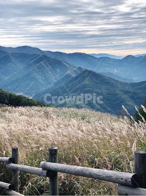 plant,식물,grass,잔디,nature,산맥,mountainrange,mountain,outdoors,산,옥외,한국자연관광,한국자연풍경,자연,풍경,자연풍경,하늘,구름,날씨,가을,억새,갈대,민둥산,미세먼지,등산,가을,계절,fall,autumn,season,자연,풍경,nature,landscape,한국자연풍경,한국자연경관,korea nature landscape,mountain range