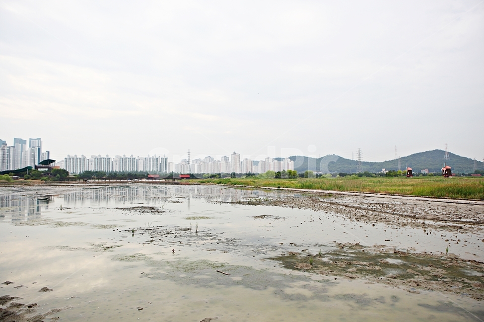 염전,소래생태공원,소금밭,바다물,풍경