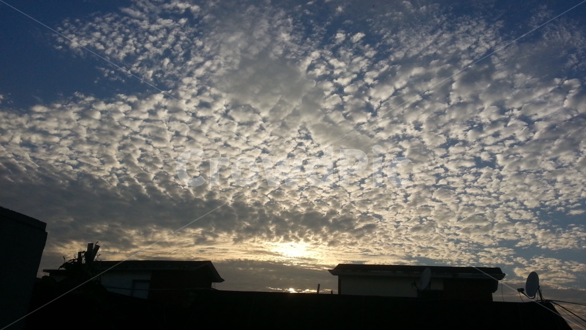 노을,저녁노을,해질녘,자연,풍경,nature,landscape,동네,옥상,구름,한국자연풍경,한국자연경관,koreanaturelandscape,가을,가을풍경,도시,배경,백그라운드,전경,하이앵글,배경사진,도시배경,cloud,자연,풍경,nature,landscape,weather,날씨,outdoors,옥외,cumulus,적운,sky,하늘