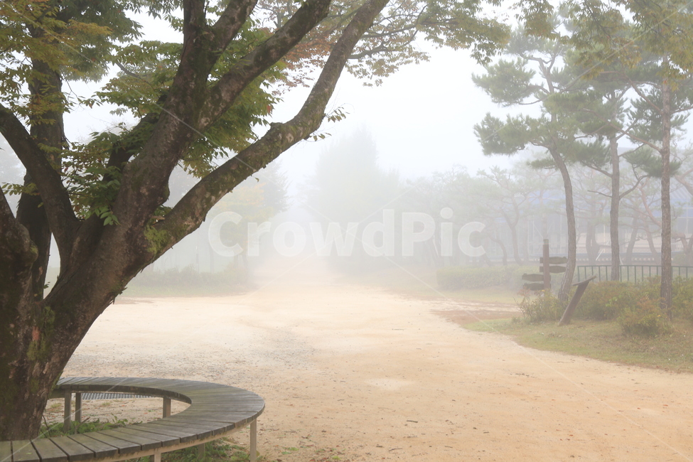 nature,자연,weather,날씨,안개,outdoors,자연,풍경,nature,landscape
