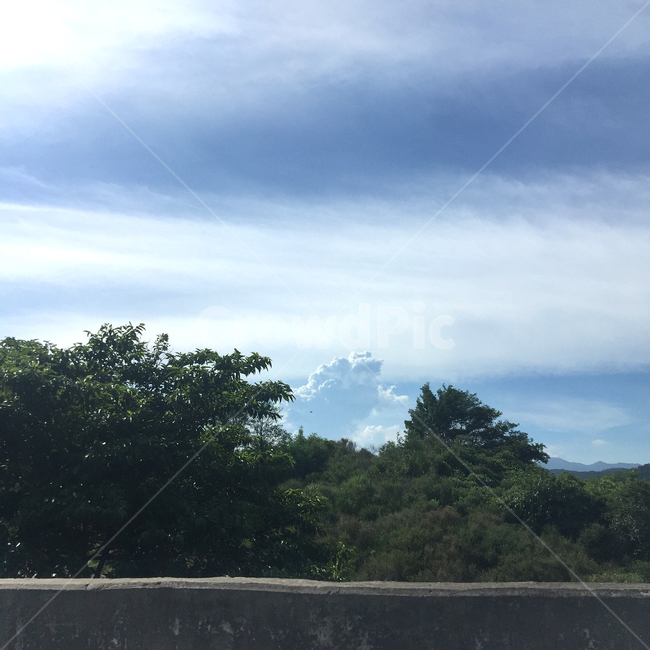 하늘,구름,나무,풍경,자연,view,감성,갬성,하늘풍경,cloud,sky,nature,도로,뭉게구름,하늘색,파란색,그린,잎,leaves,tree,숲