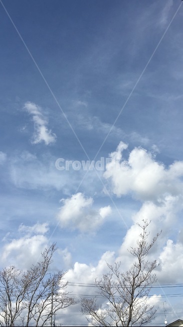 nature,자연,outdoors,옥외,sky,하늘,weather,날씨,cloud,구름,cumulus,적운,풍경,나무,tree,view,landscape,scene