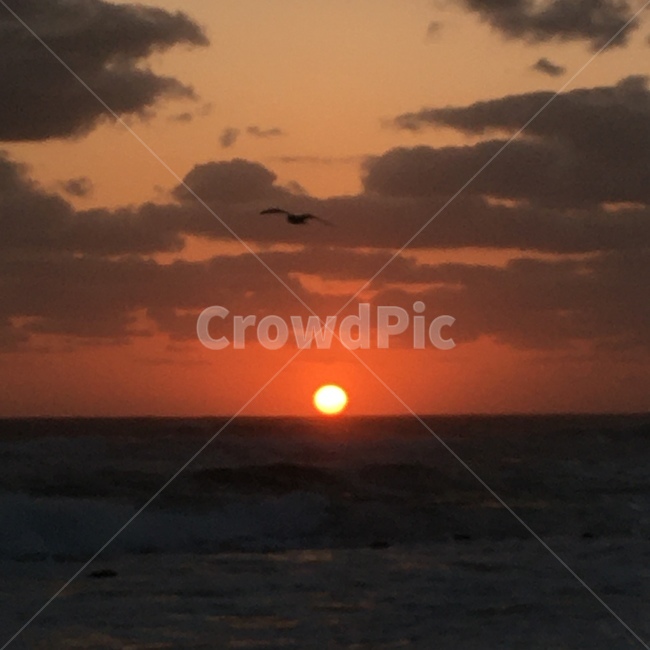 일출,바다,바다일출,자연,햇빛,sunlight,황혼,새벽,하늘,일몰,붉은하늘,redsky,sunset,자연,풍경,nature,landscape