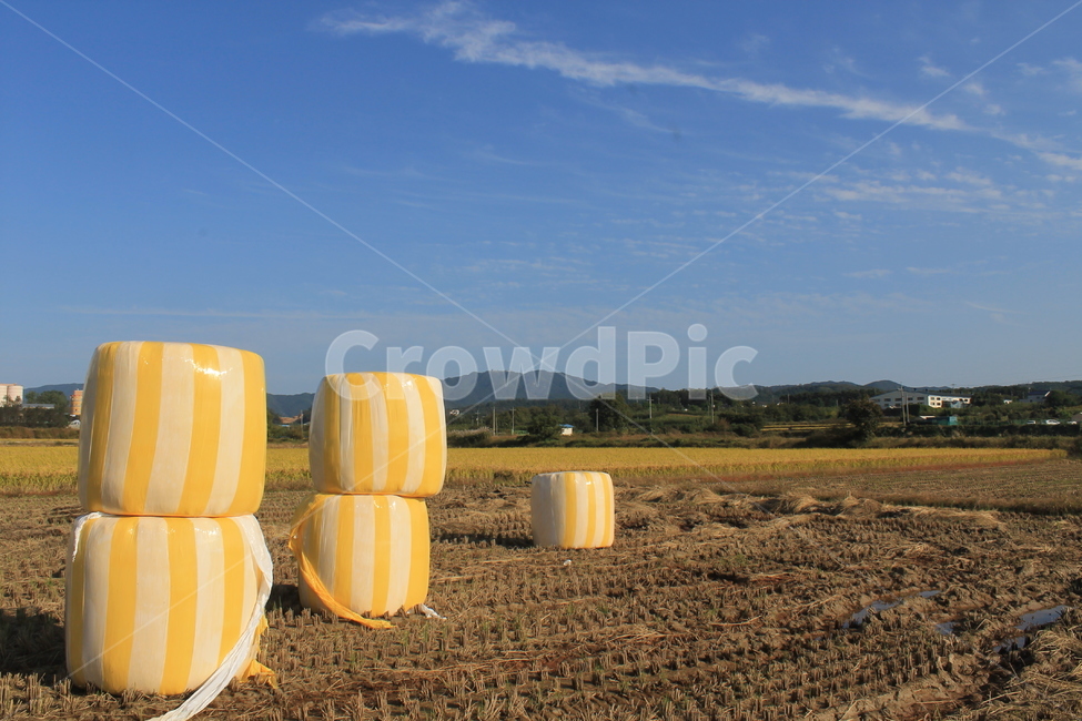 볏단,볕짚,건초,haybale,haystack,hayrick,건초더미