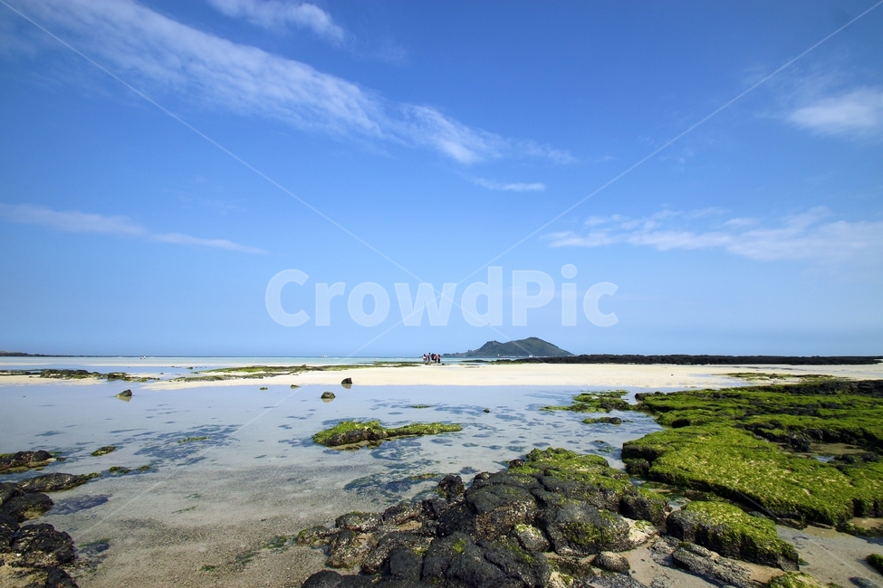 제주도,해변,풍경,바다,협재,협재해수욕장,모래,하늘,푸른하늘,절경,landscape,landmark,sea,beach,제주,자연,풍경,nature,landscape,한국자연풍경,한국자연경관,korea nature landscape,제주도,jeju,jeju island,plant,식물,outdoors,옥외,land,땅