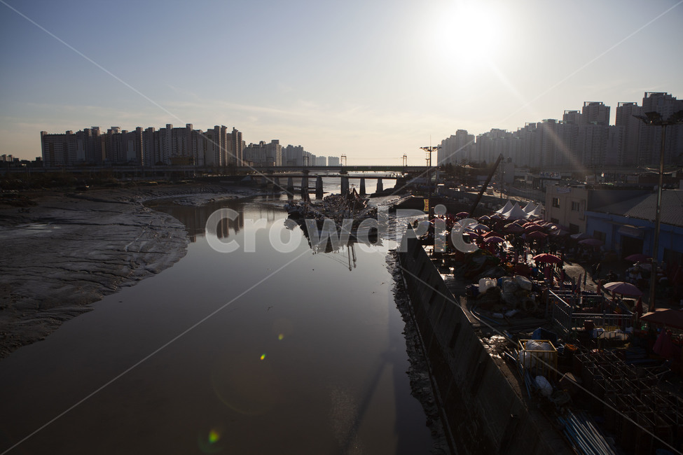 landscape,outdoors,경치,옥외,nature,scenery,자연,풍경