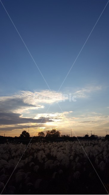 자연,하늘,sky,nature,outdoors