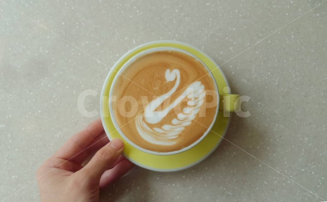 카페라떼,라떼,커피,사진,백조,사람,인물,인간,human,person,커피,카페,coffee,cafe