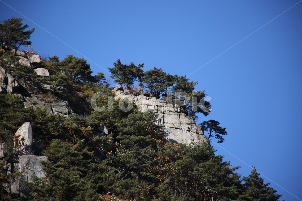능동산,바위,소나무,mountain,가을,산,자연,풍경,nature,landscape,outdoors,옥외,tree,나무,plant,식물