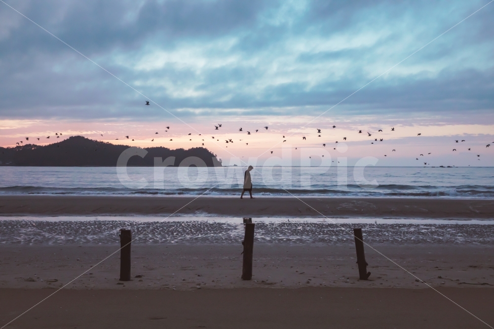 바다,감성,실루엣,여명,바다갈매기,자연,풍경,nature,landscape,해변,바다,beach,sea,사람,인물,인간,human,person,감성,sensible,feeling,색깔,색상,색채,색감,color sense,color sensitivity,feeling of color,고독함,외로움,쓸쓸함,우울함,슬픔,lonely,solitary