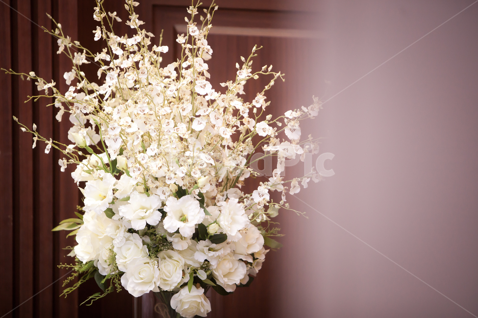 plant,식물,flower,blossom,꽃,꽃,flower