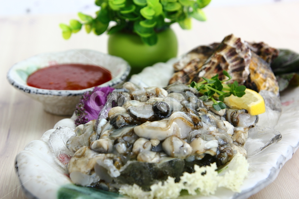 석화,굴,생굴,해산물,조개,신선,싱싱,음식,식품,dish,oysters,seafood,shellfish,fresh,crispy,food,음식,식재료,요리,food,cook,meal,dishes,food reserves,수산물,해산물,fishery products,seafood