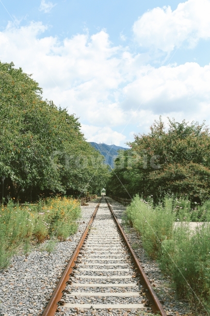 기찻길,도시풍경,교통,가을,기차,풍경,trail,autumn,train,교통,교통수단,traffic,transportation,railway,철도,rail,레일,train track,dirt road,흙길,road,도로,gravel,자갈