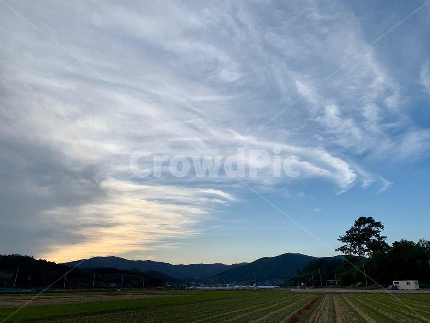 nature,자연,outdoors,옥외,field,들