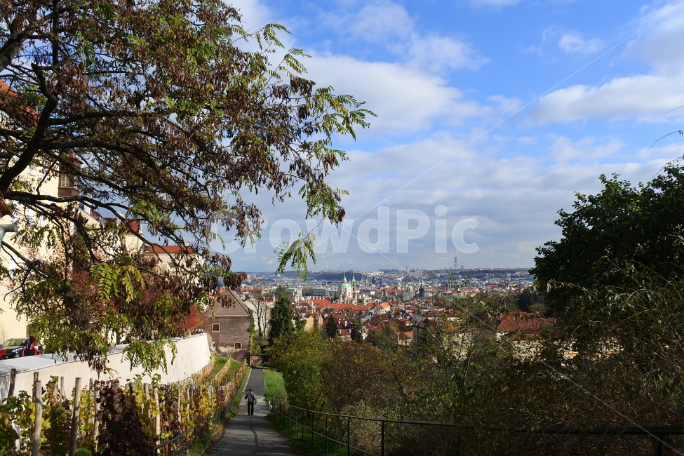 나무,하늘,프라하,체코,마을,유럽,구름,도시,praha,village,europe,cloud,city,cityview,sky,tree,높은곳