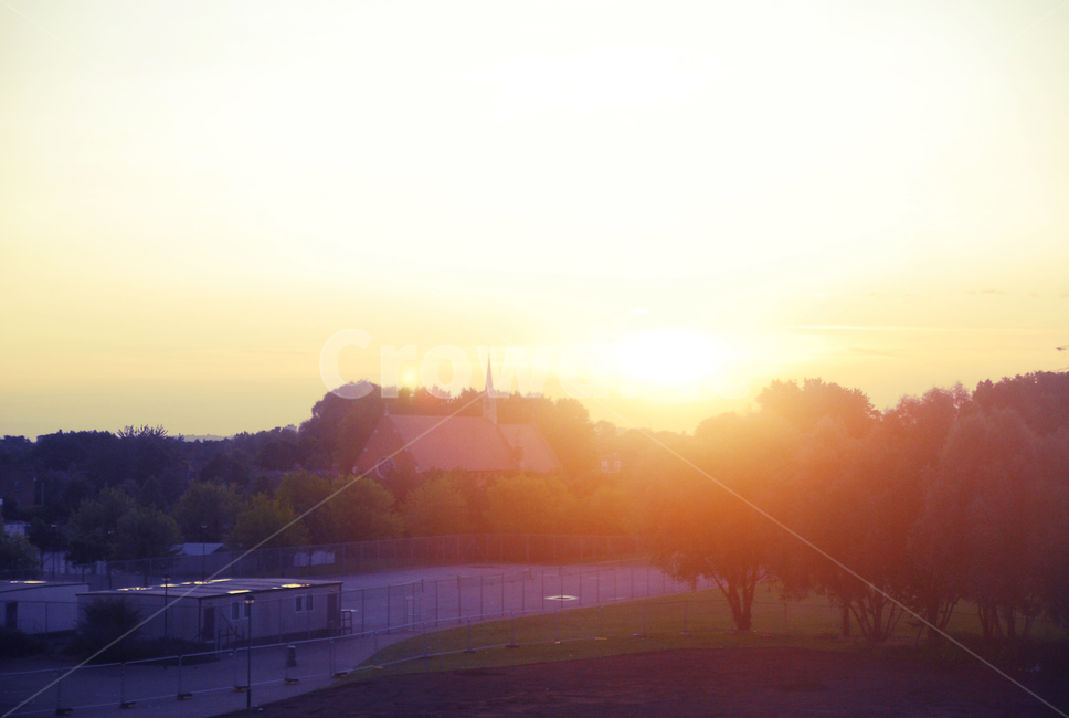 플레어,sunlight,햇빛,nature,morning,공원