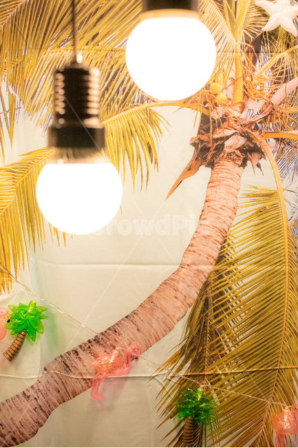 palm tree light bulb,palm tree,Halogen light,halogen light,light,bulb,flamingo light bulb,flamingo,palm trees,flamingos