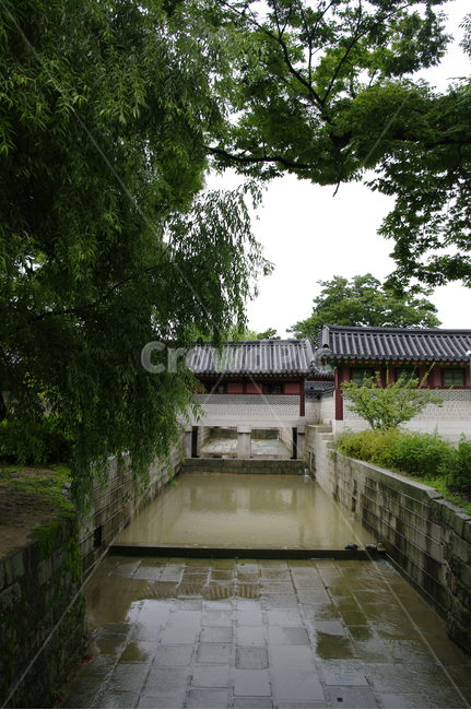 창덕궁,고궁,한옥,전통가옥,기와지붕,건축,traditional,나무,한국전통,한국문화,korean traditional,korean culture,랜드마크,landmark,tourist attraction,한국랜드마크,한국관광지,한국명소,korea landmark,korea tourist attraction,건축물,건물외관,exterior,building,structure,architecture,construction