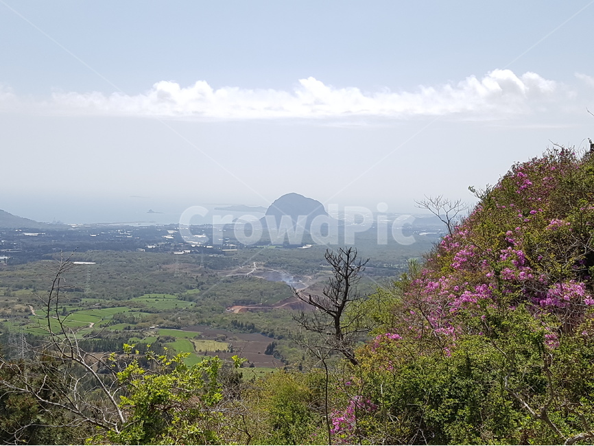 봄,산방산,자연풍경,제주도,철쭉,자연,풍경,nature,landscape,한국자연풍경,한국자연경관,korea nature landscape,제주도,jeju,jeju island,outdoors,옥외,경치,scenery