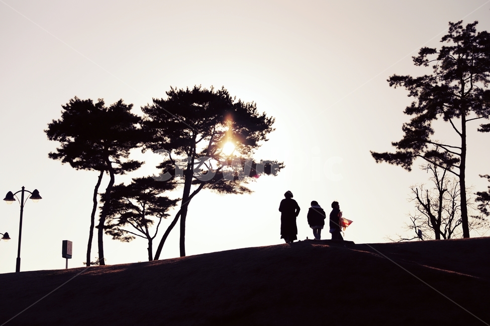 가족,소나무,석양,가로등,해,태양,실루엣,사람,인물,인간,human,person,가족,패밀리,family,인물실루엣,사람실루엣,character silhouette,human silhouette,light,빛,flare,플레어,sunlight,햇빛